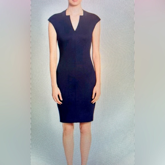 Ted Baker London Dresses & Skirts - TED BAKER LONDON DIAH bodycon V-neck dress.